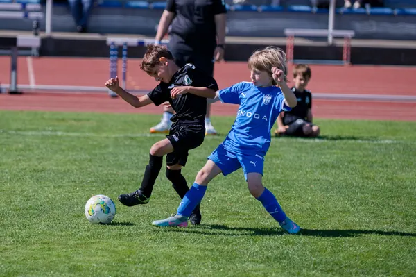 JUNIOR NORTH CUP MICRO 2026, 6. 6. 2026