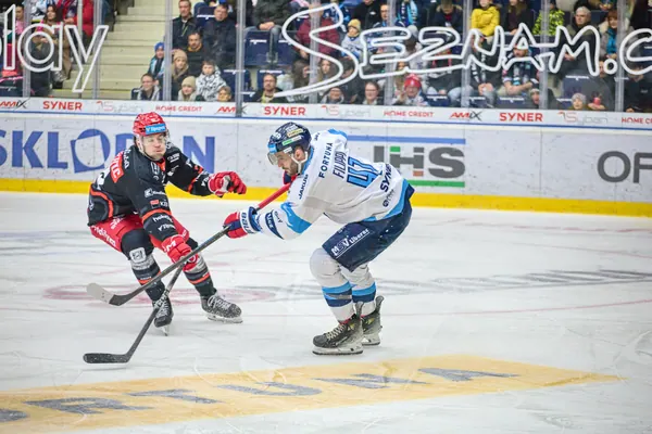 BTL – Hradec Králové, 23. 11. 2025