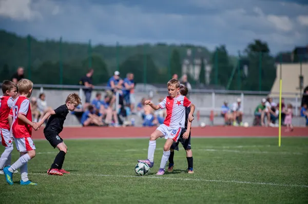 JUNIOR NORTH CUP MICRO 2026, 6. 6. 2026