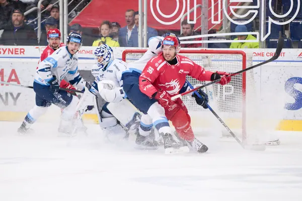 BTL – Třinec, 16. 1. 2026