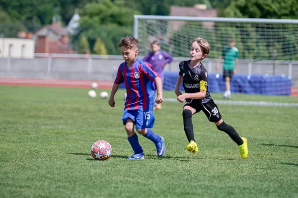 JUNIOR NORTH CUP MICRO 2026, 6. 6. 2026