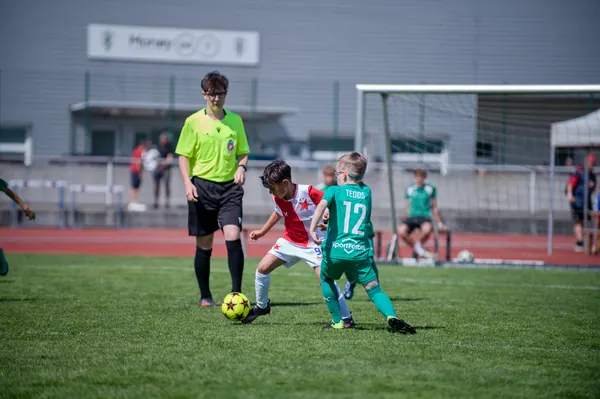 JUNIOR NORTH CUP MICRO 2026, 6. 6. 2026