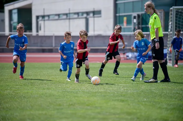 JUNIOR NORTH CUP MICRO 2026, 6. 6. 2026