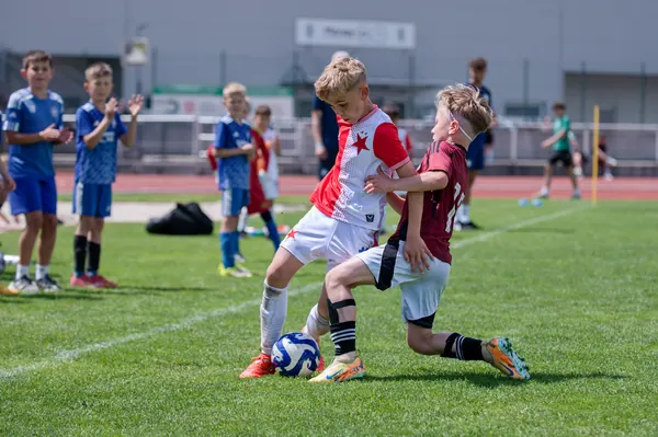 JUNIOR NORTH CUP MICRO 2026, 6. 6. 2026