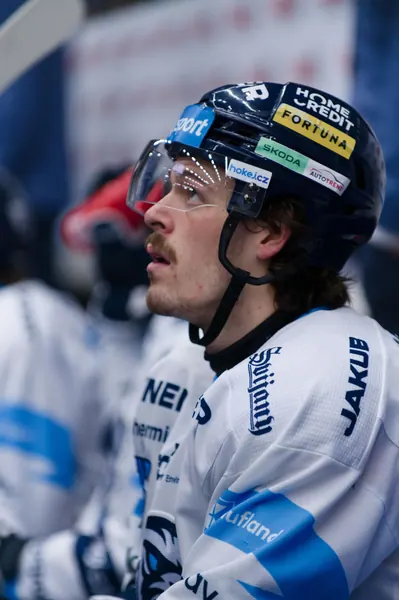 BTL – Dresden, 19. 2. 2026