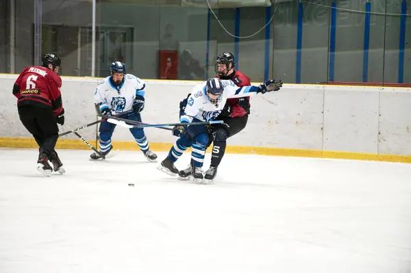 U17: BTL – Sparta Praha, 29. 3. 2026