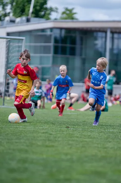 JUNIOR NORTH CUP MICRO 2026, 6. 6. 2026