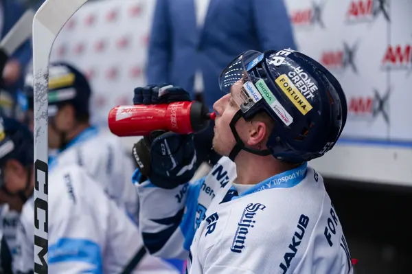 BTL – Dresden, 19. 2. 2026
