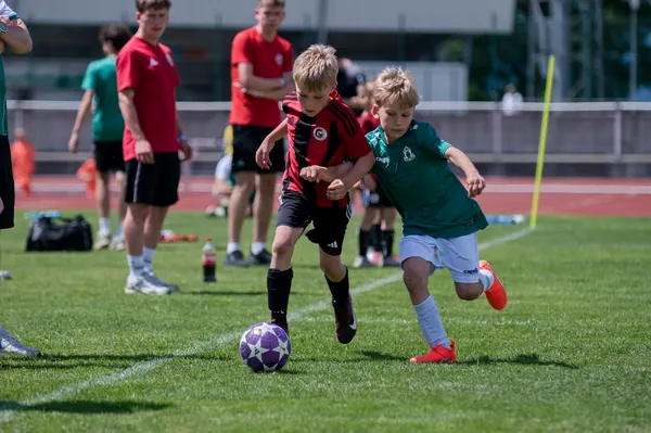 JUNIOR NORTH CUP MICRO 2026, 6. 6. 2026