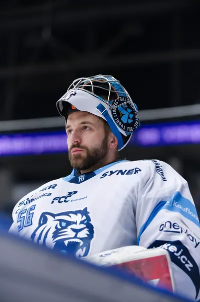 BTL – Dresden, 19. 2. 2026