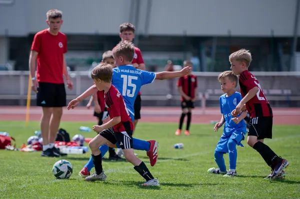 JUNIOR NORTH CUP MICRO 2026, 6. 6. 2026