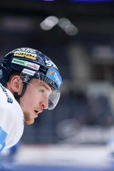 BTL – Dresden, 19. 2. 2026