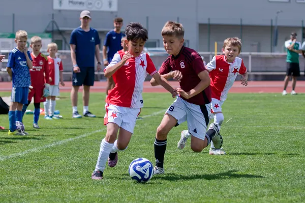 JUNIOR NORTH CUP MICRO 2026, 6. 6. 2026