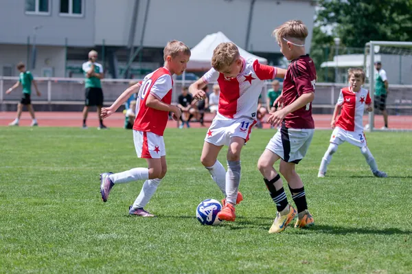 JUNIOR NORTH CUP MICRO 2026, 6. 6. 2026