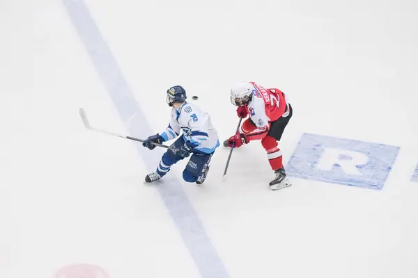 U20: BTL – Pardubice, 24. 1. 2026