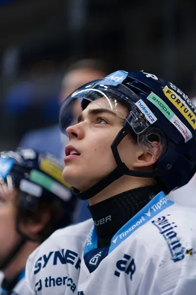 BTL – Dresden, 19. 2. 2026