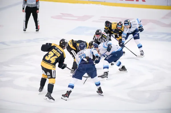 BTL – Litvínov, 18. 1. 2026