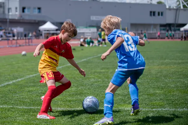JUNIOR NORTH CUP MICRO 2026, 6. 6. 2026