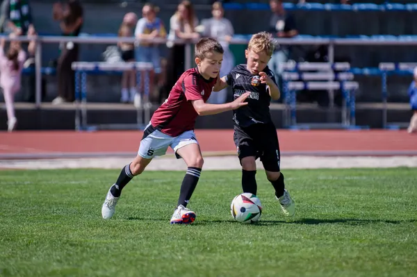 JUNIOR NORTH CUP MICRO 2026, 6. 6. 2026