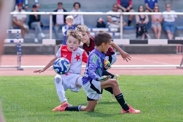 JUNIOR NORTH CUP MICRO 2026, 6. 6. 2026
