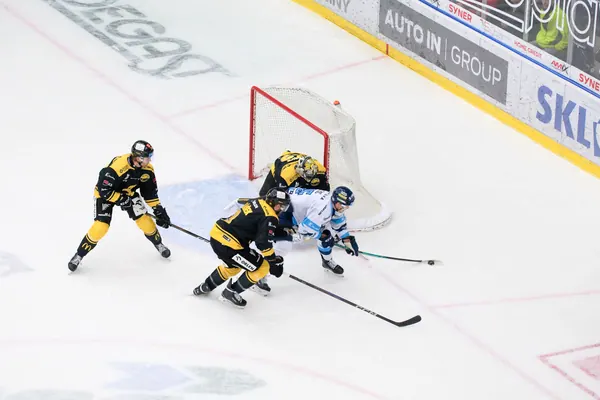 BTL – Litvínov, 18. 1. 2026