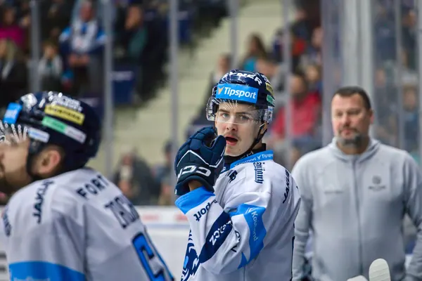 BTL – Hradec Králové, 23. 11. 2025