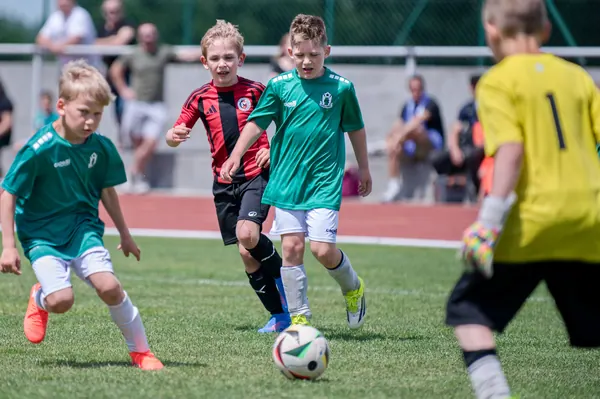 JUNIOR NORTH CUP MICRO 2026, 6. 6. 2026
