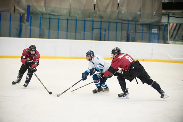 U17: BTL – Sparta Praha, 29. 3. 2026