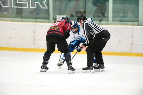 U17: BTL – Sparta Praha, 29. 3. 2026