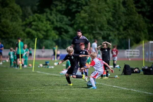 JUNIOR NORTH CUP MICRO 2026, 6. 6. 2026