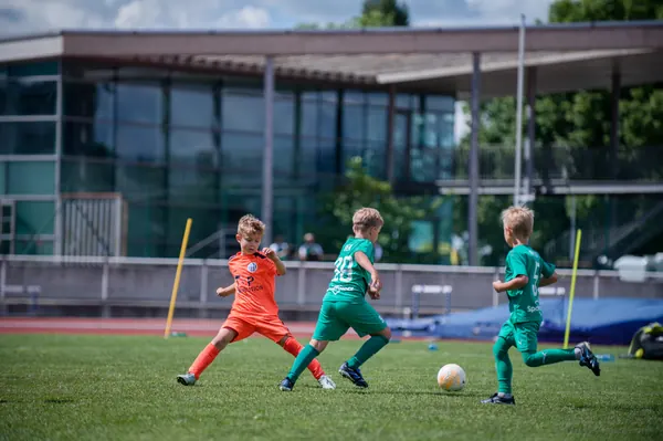 JUNIOR NORTH CUP MICRO 2026, 6. 6. 2026
