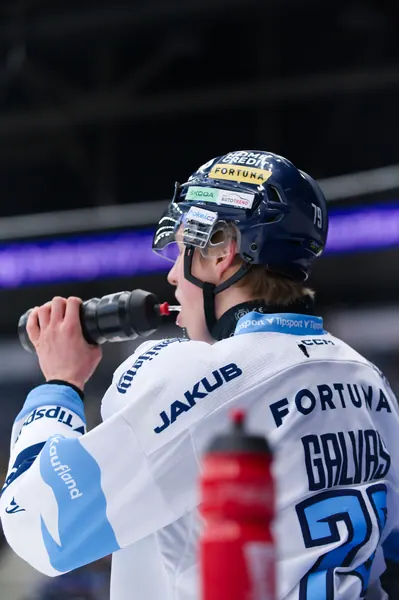 BTL – Dresden, 19. 2. 2026
