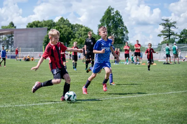 JUNIOR NORTH CUP MICRO 2026, 6. 6. 2026