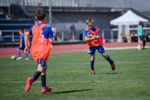 JUNIOR NORTH CUP MICRO 2026, 6. 6. 2026
