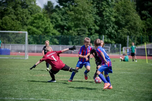 JUNIOR NORTH CUP MICRO 2026, 6. 6. 2026