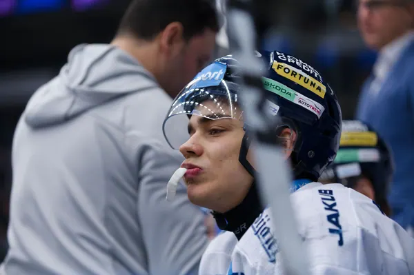 BTL – Dresden, 19. 2. 2026