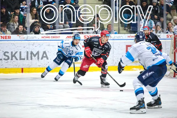 BTL – Hradec Králové, 23. 11. 2025