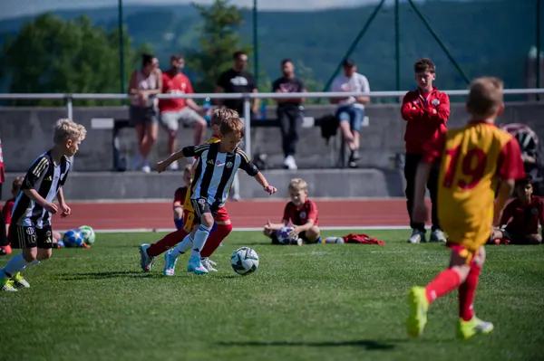 JUNIOR NORTH CUP MICRO 2026, 6. 6. 2026