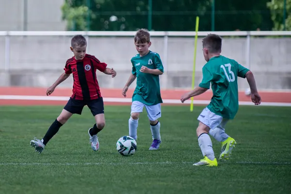 JUNIOR NORTH CUP MICRO 2026, 6. 6. 2026
