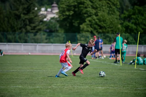 JUNIOR NORTH CUP MICRO 2026, 6. 6. 2026
