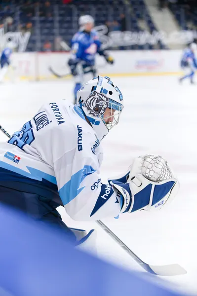 BTL – Dresden, 19. 2. 2026