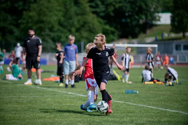 JUNIOR NORTH CUP MICRO 2026, 6. 6. 2026