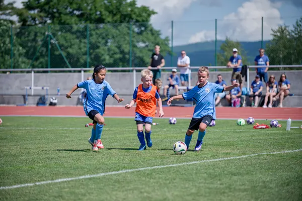 JUNIOR NORTH CUP MICRO 2026, 6. 6. 2026