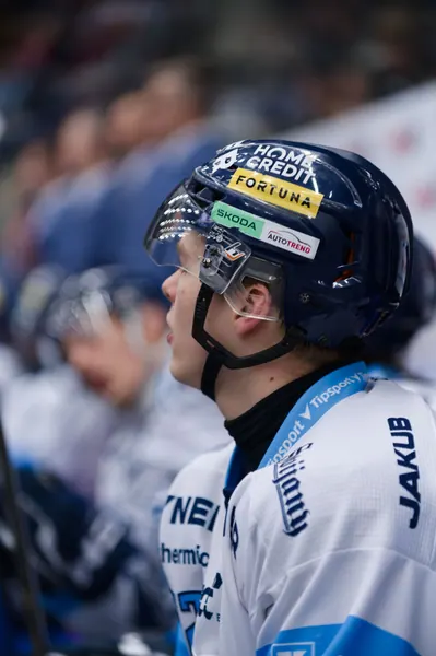 BTL – Dresden, 19. 2. 2026