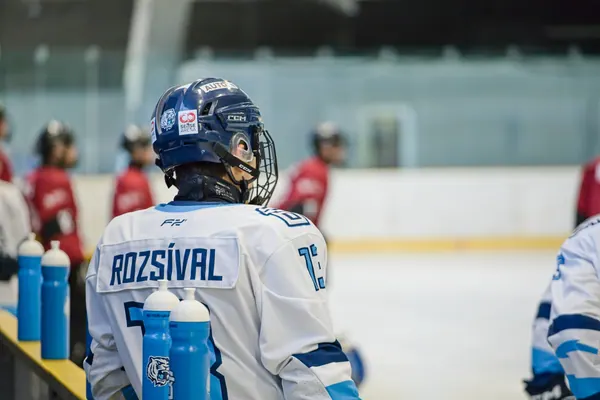 U17: BTL – Sparta Praha, 18. 10. 2025
