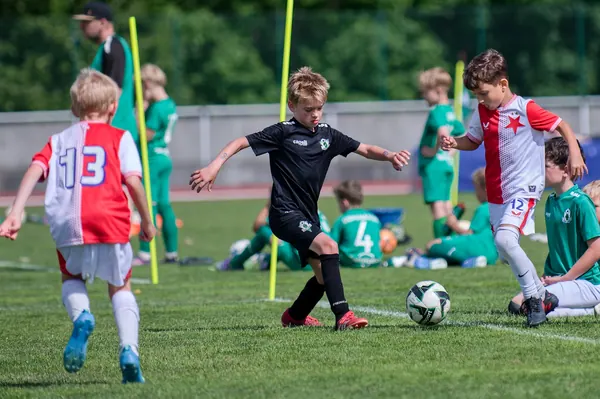 JUNIOR NORTH CUP MICRO 2026, 6. 6. 2026