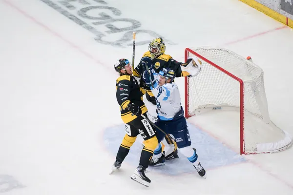 BTL – Litvínov, 18. 1. 2026