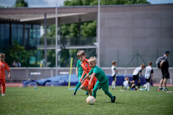 JUNIOR NORTH CUP MICRO 2026, 6. 6. 2026