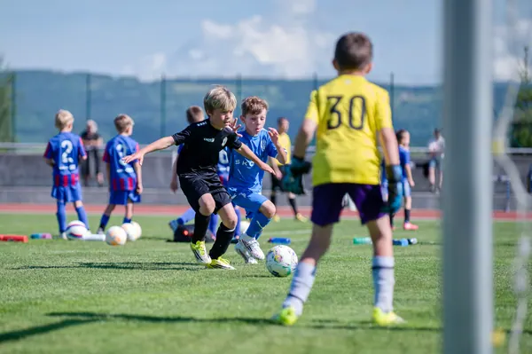 JUNIOR NORTH CUP MICRO 2026, 6. 6. 2026