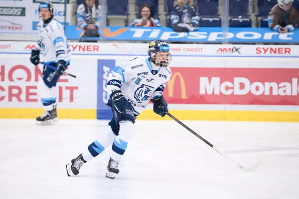 BTL – Litvínov, 18. 1. 2026